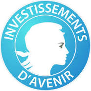 INVESTISSEMENT D'AVENIR